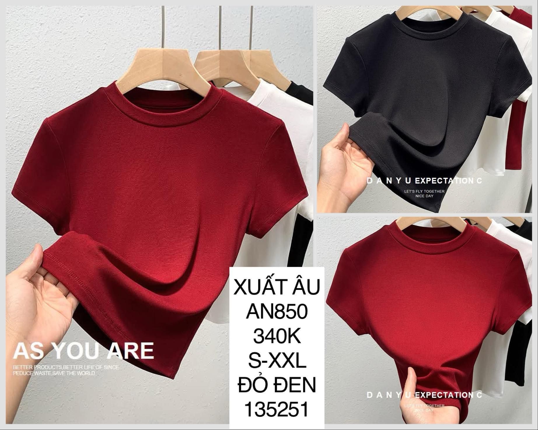  Áo thun cổ cotton cổ tròn AN850 