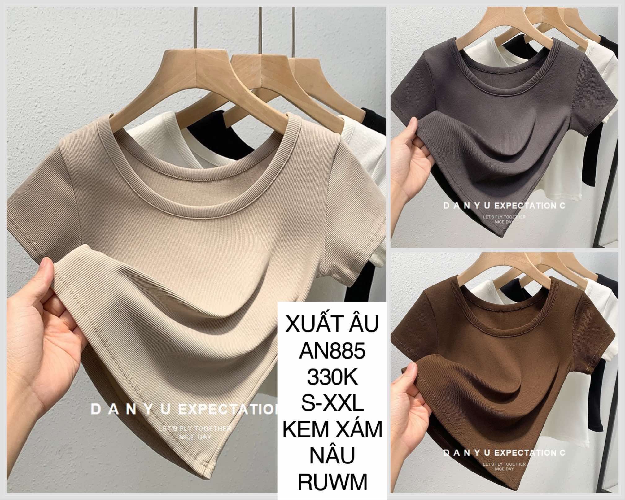  Áo thun cotton cổ tròn AN885 