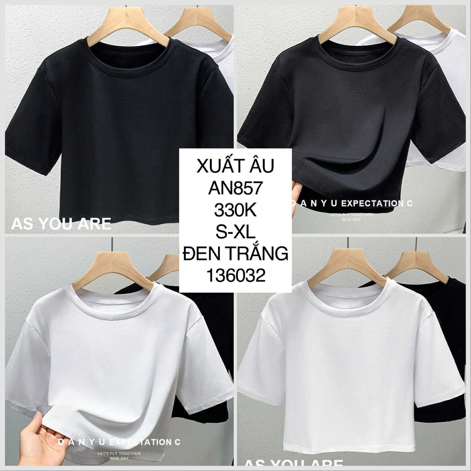  Áo thun tay lỡ AN857 