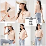  Áo thun polo thêu hình an204 