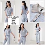  Áo thun lông cổ bẻ viền răng cưa AN260 