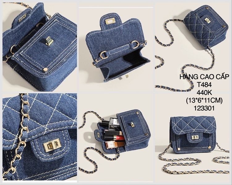  Túi thời trang t484 