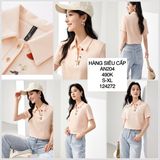  Áo thun polo thêu hình an204 