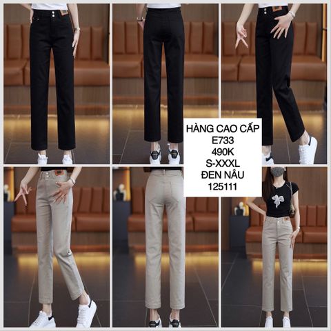 Quần kaki 2 nút tag da E733 