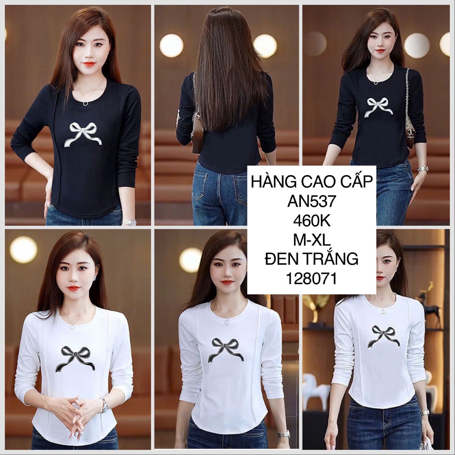  Áo tay dài hình nơ AN537 