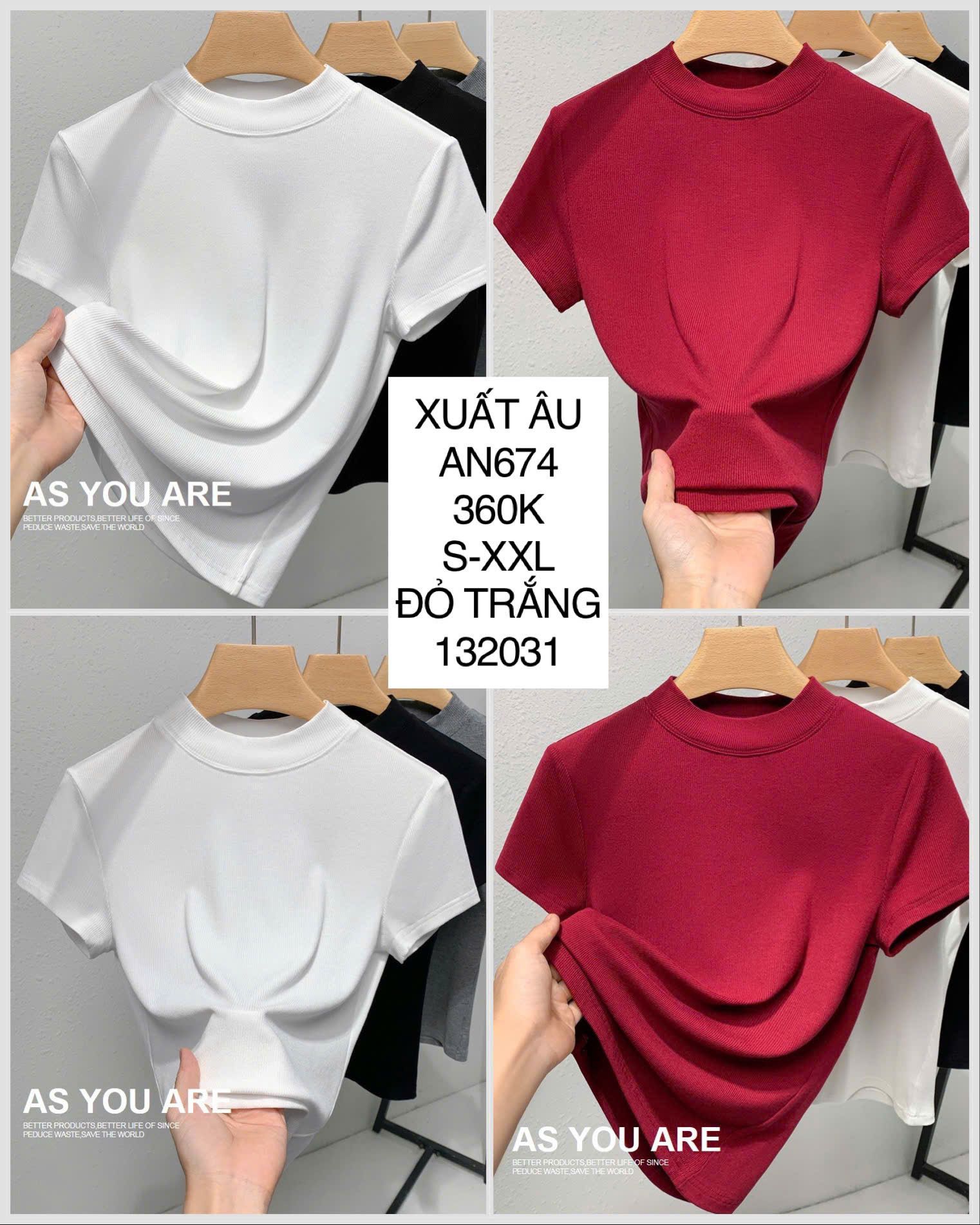  Áo thun cổ lọ thấp AN674 