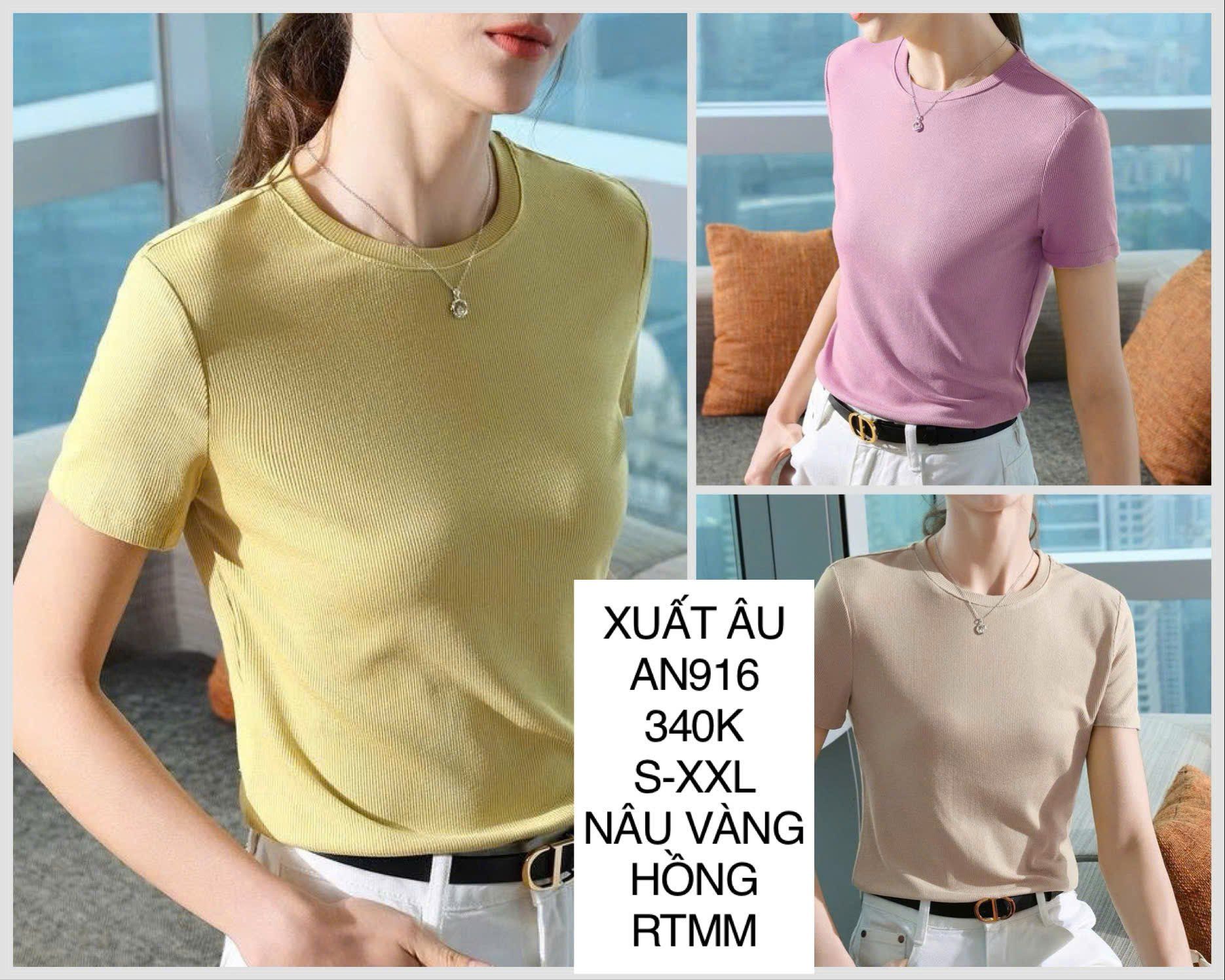  Áo thun gân basic AN916 