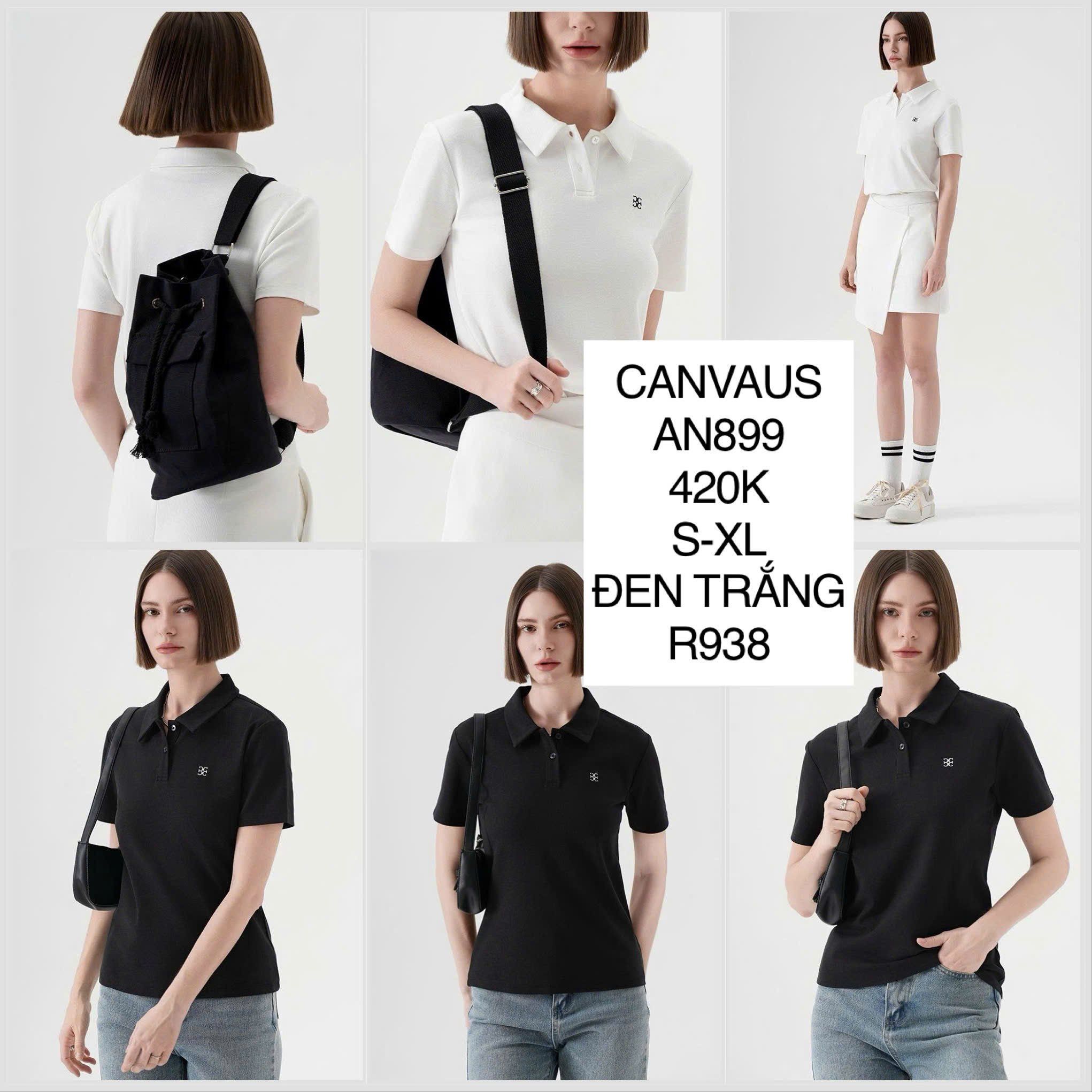  Áo cotton cổ polo AN899 