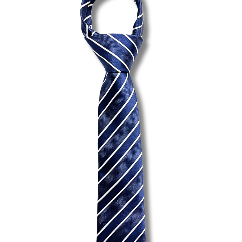  Quà tặng 20/11 cho đối tác nam, sếp nam, đồng nghiệp nam, người yêu nam ,bạn bè, anh trai hoặc người thân quà tặng Cà vạt nam chống nhăn dễ thắt thời trang công sở lịch lãm caravat cao cấp làm quà tặng phù hợp mọi dịp AGANA - CR061 