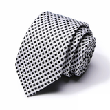  Cà vạt nam chống nhăn dễ thắt thời trang công sở lịch lãm caravat cao cấp làm quà tặng phù hợp mọi dịp AGANA - CR079 