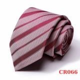  Quà tặng 20/10 cho đối tác nam, sếp nam, đồng nghiệp nam, người yêu nam ,bạn bè, anh trai hoặc người thân quà tặng Cà vạt nam chống nhăn dễ thắt thời trang công sở lịch lãm caravat cao cấp làm quà tặng phù hợp mọi dịp AGANA - CR066 