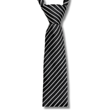  Quà tặng 20/10 cho đối tác nam, sếp nam, đồng nghiệp nam, người yêu nam ,bạn bè, anh trai hoặc người thân quà tặng Cà vạt nam chống nhăn dễ thắt thời trang công sở lịch lãm caravat cao cấp làm quà tặng phù hợp mọi dịp AGANA - CR057 