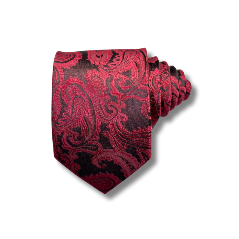  Quà tặng 20/11 cho đối tác nam, sếp nam, đồng nghiệp nam, người yêu nam ,bạn bè, anh trai hoặc người thân quà tặng Cà vạt nam chống nhăn dễ thắt thời trang công sở lịch lãm caravat cao cấp làm quà tặng phù hợp mọi dịp AGANA - CR072 