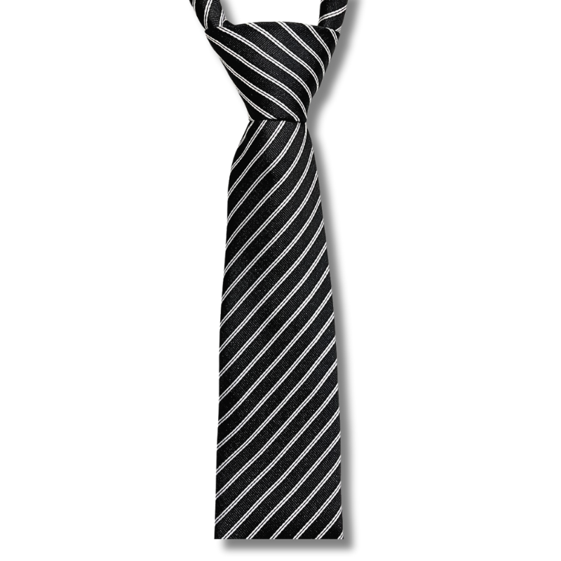  Cà vạt nam chống nhăn dễ thắt thời trang công sở lịch lãm caravat cao cấp làm quà tặng phù hợp mọi dịp AGANA - CR057 