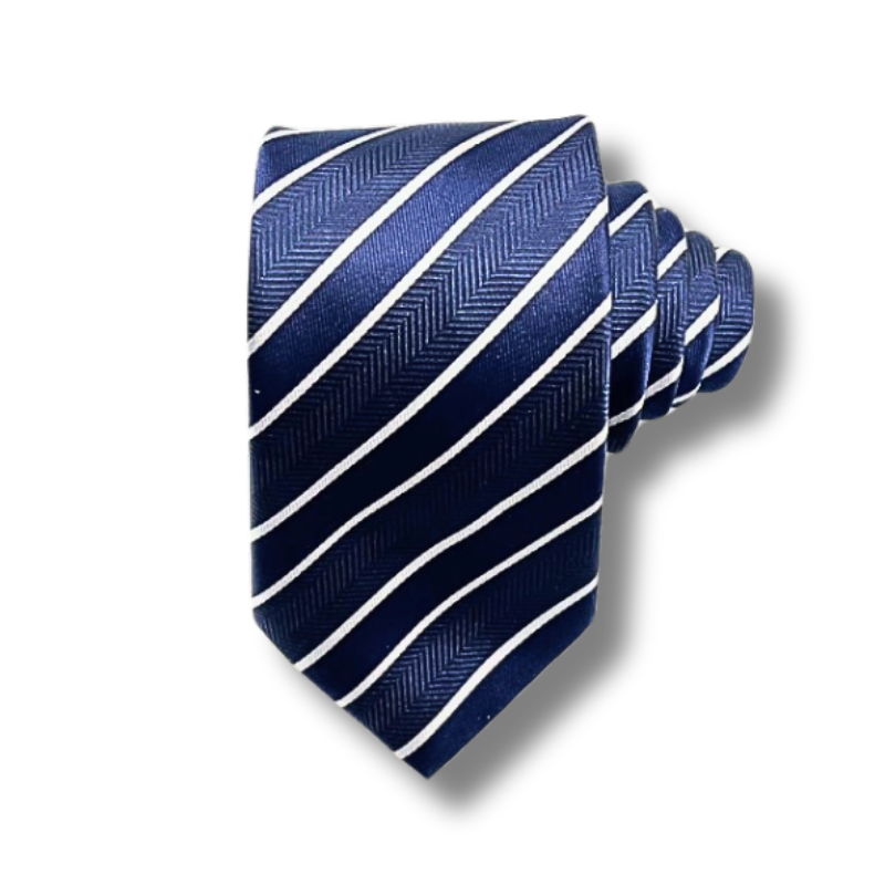  Quà tặng 20/10 cho đối tác nam, sếp nam, đồng nghiệp nam, người yêu nam ,bạn bè, anh trai hoặc người thân quà tặng Cà vạt nam chống nhăn dễ thắt thời trang công sở lịch lãm caravat cao cấp làm quà tặng phù hợp mọi dịp AGANA - CR061 