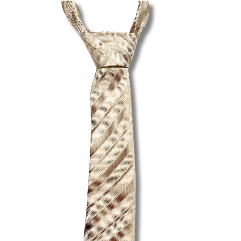  Quà tặng 20/10 cho đối tác nam, sếp nam, đồng nghiệp nam, người yêu nam ,bạn bè, anh trai hoặc người thân quà tặng Cà vạt nam chống nhăn dễ thắt thời trang công sở lịch lãm caravat cao cấp làm quà tặng phù hợp mọi dịp AGANA - CR065 