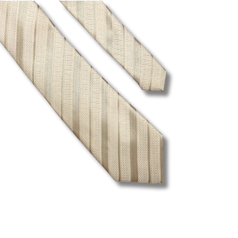  Quà tặng 20/10 cho đối tác nam, sếp nam, đồng nghiệp nam, người yêu nam ,bạn bè, anh trai hoặc người thân quà tặng Cà vạt nam chống nhăn dễ thắt thời trang công sở lịch lãm caravat cao cấp làm quà tặng phù hợp mọi dịp AGANA - CR065 