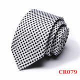  Cà vạt nam chống nhăn dễ thắt thời trang công sở lịch lãm caravat cao cấp làm quà tặng phù hợp mọi dịp AGANA - CR079 