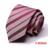  Quà tặng 20/11 cho đối tác nam, sếp nam, đồng nghiệp nam, người yêu nam ,bạn bè, anh trai hoặc người thân quà tặng Cà vạt nam chống nhăn dễ thắt thời trang công sở lịch lãm caravat cao cấp làm quà tặng phù hợp mọi dịp AGANA - CR066 