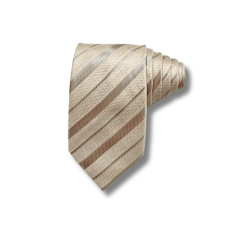  Quà tặng 20/11 cho đối tác nam, sếp nam, đồng nghiệp nam, người yêu nam ,bạn bè, anh trai hoặc người thân quà tặng Cà vạt nam chống nhăn dễ thắt thời trang công sở lịch lãm caravat cao cấp làm quà tặng phù hợp mọi dịp AGANA - CR065 