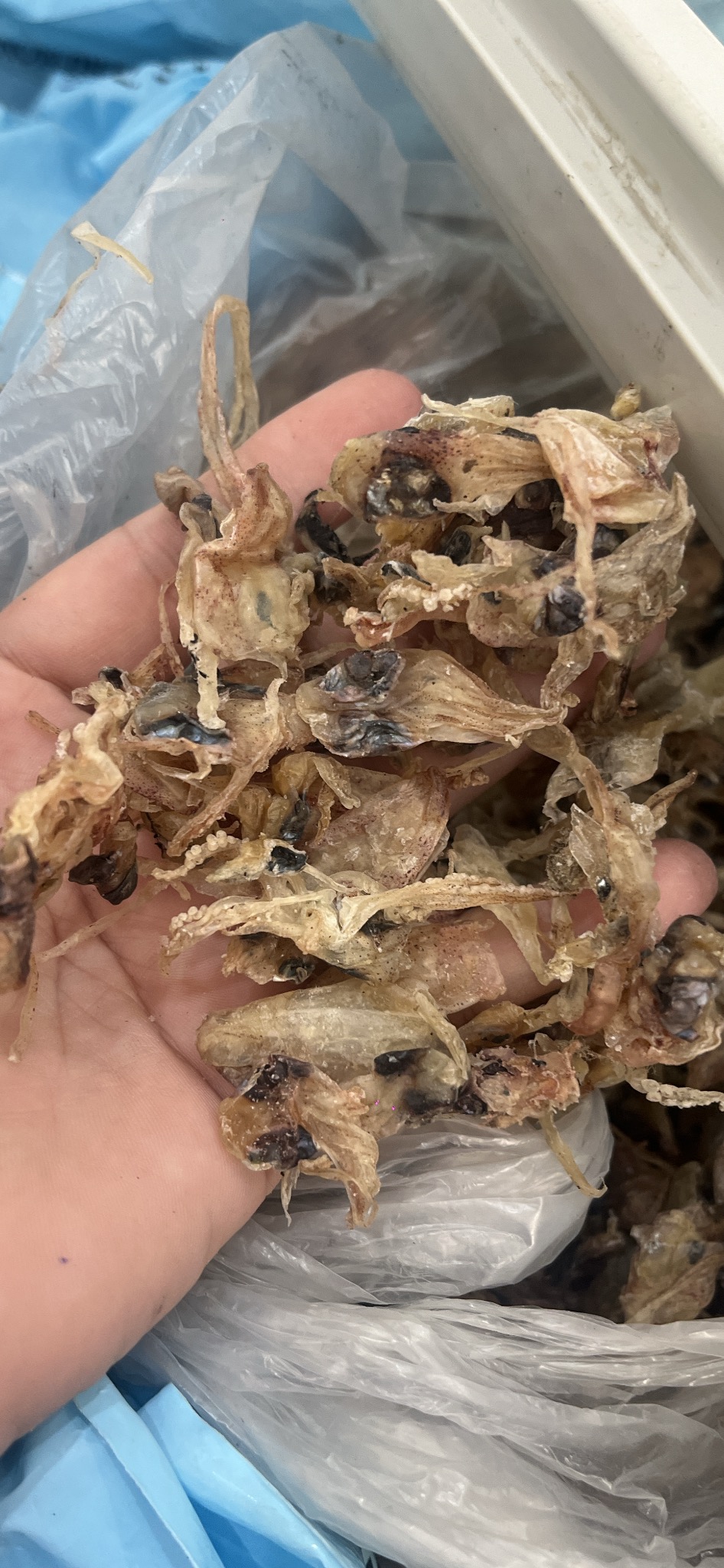 Tất cả sản phẩm – Kiều Nương 2