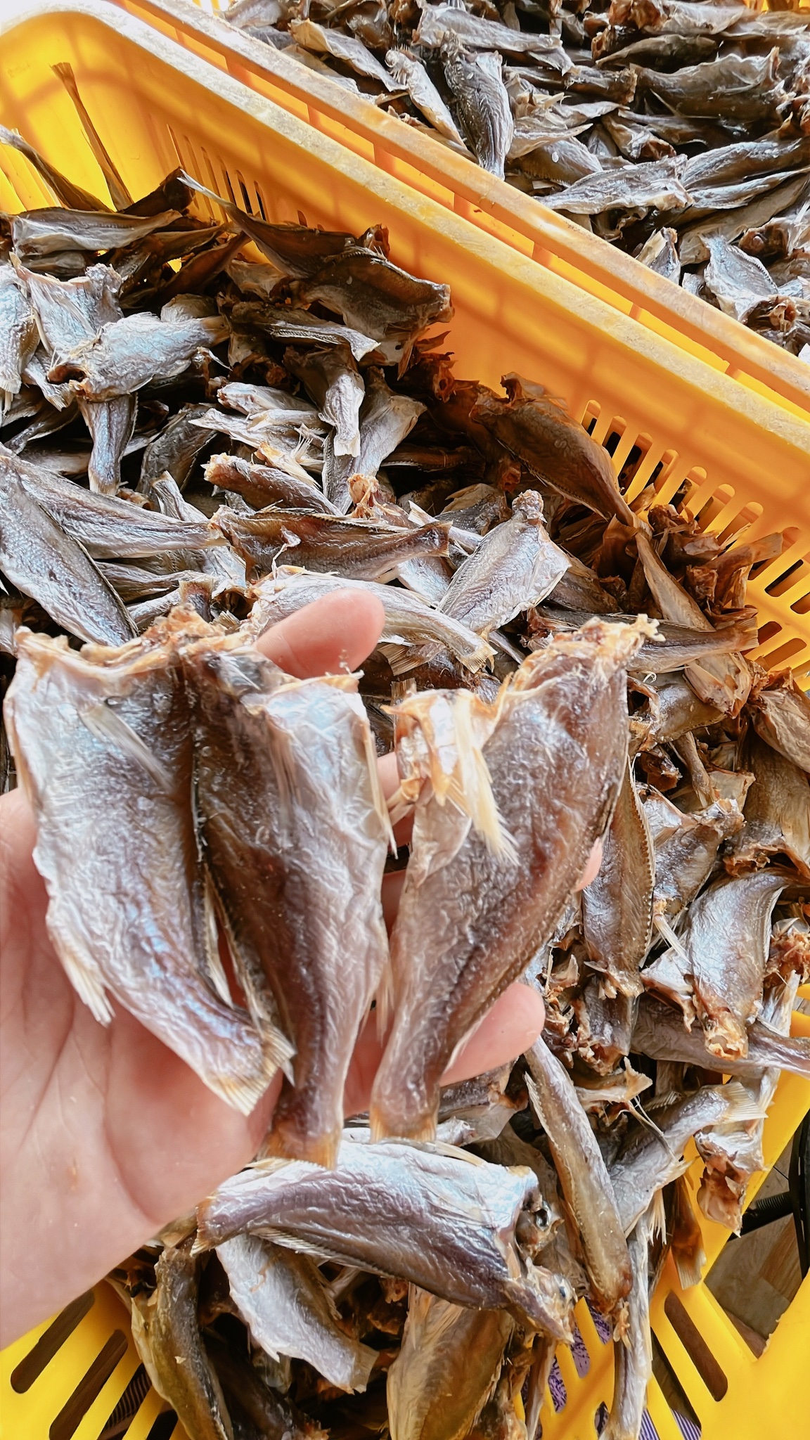 Tất cả sản phẩm – Kiều Nương 2