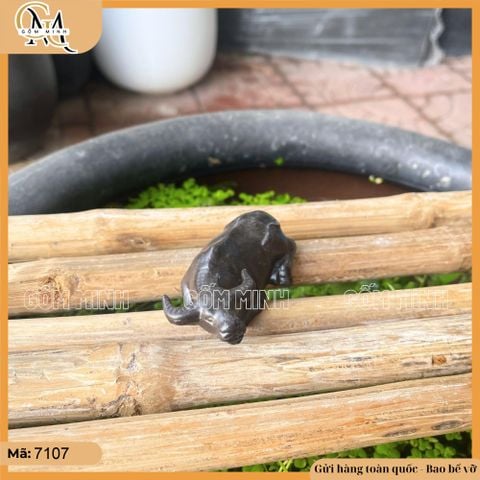 Tiểu cảnh trâu đứng mini, trâu nằm nhiều mẫu trang trí bonsai