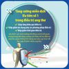 Sữa Bột Nutricare FINE Tăng Cường Sức Đề Kháng Ăn Ngon Miệng Giảm Táo Bón Hỗ Trợ Người Ung Thư Giảm Tác Hại Hoá Xạ Trị