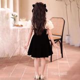  P24_296. Đầm Tiểu Thư Nhung Hàn Cao Cấp Đen 