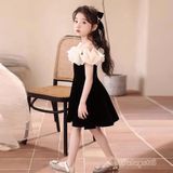  P24_296. Đầm Tiểu Thư Nhung Hàn Cao Cấp Đen 