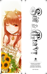 Sói và gia vị 17 (Bản đặc biệt)