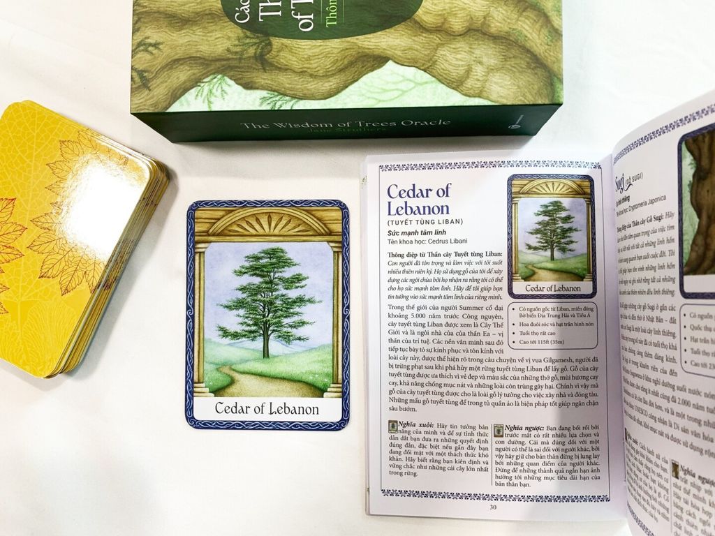 Bộ thẻ bài The Wisdom of Trees Oracle (Sách hướng dẫn và thẻ bài)