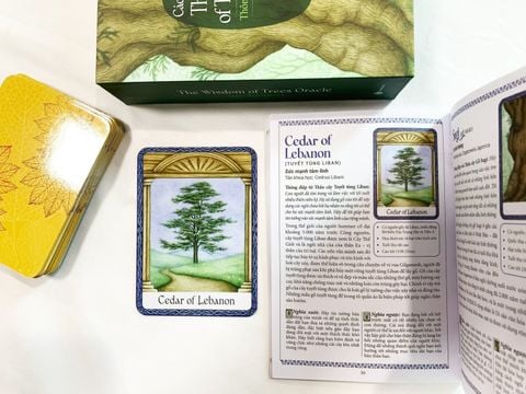 Bộ thẻ bài The Wisdom of Trees Oracle (Sách hướng dẫn và thẻ bài)