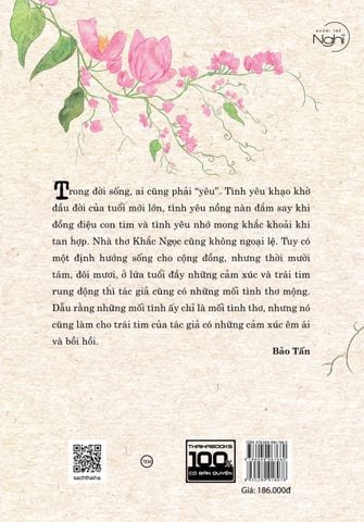 Chút tình nặng mang