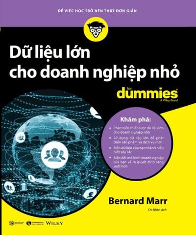 Dữ liệu lớn cho doanh nghiệp nhỏ for dummies