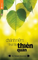 Chánh niệm thực tập thiền quán