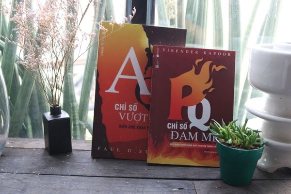 Bộ Chỉ số thành công