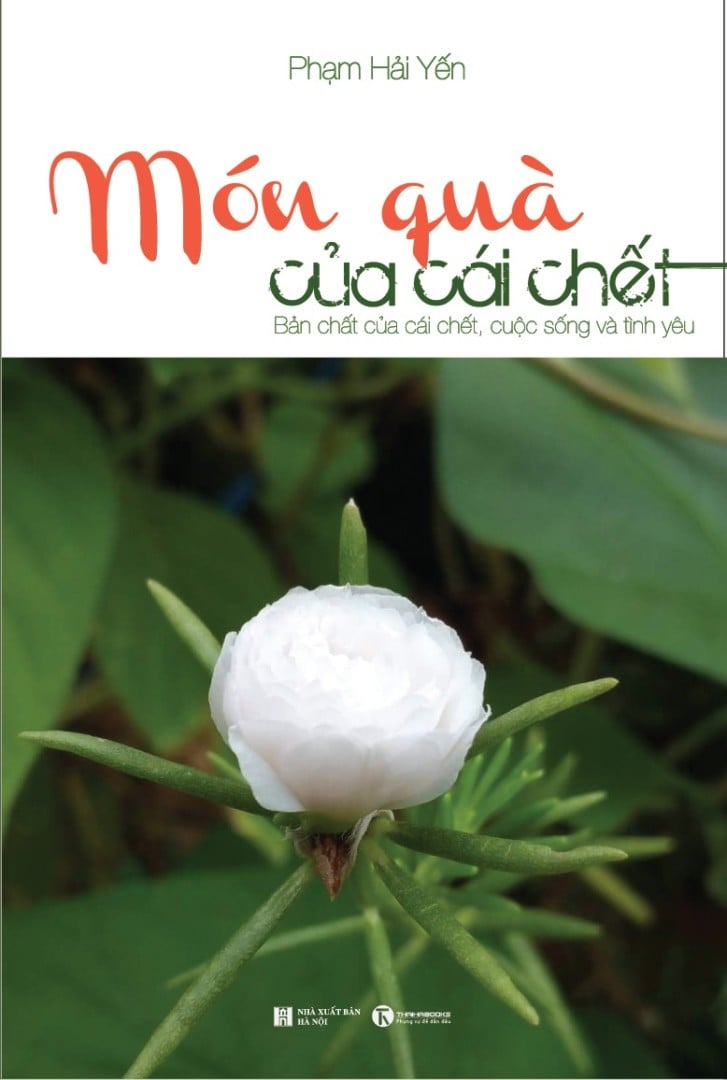 Khám Phá Thế Giới Đầy Hấp Dẫn Của Nhà Cái C389 - Không Chỉ Là Một Nền Tảng Cá Cược