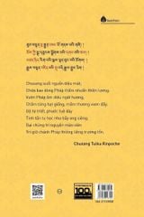 Nhiếp loại học I - Thiết lập con đường lý luận khai mở tuệ nhãn