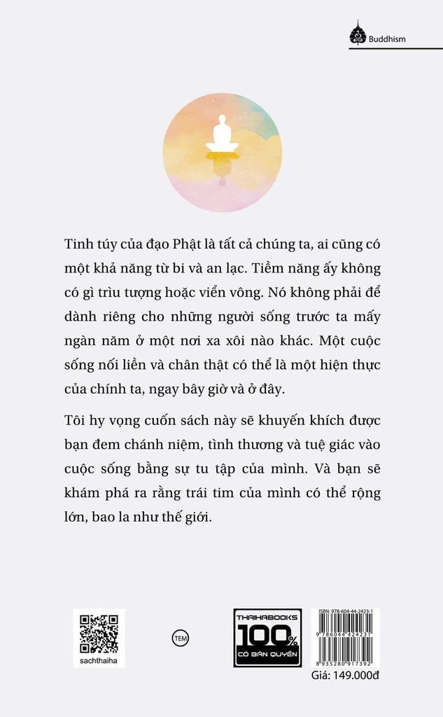 Thiền tập - Con đường dẫn tới tuệ giác và tâm từ (Đổi tên từ 