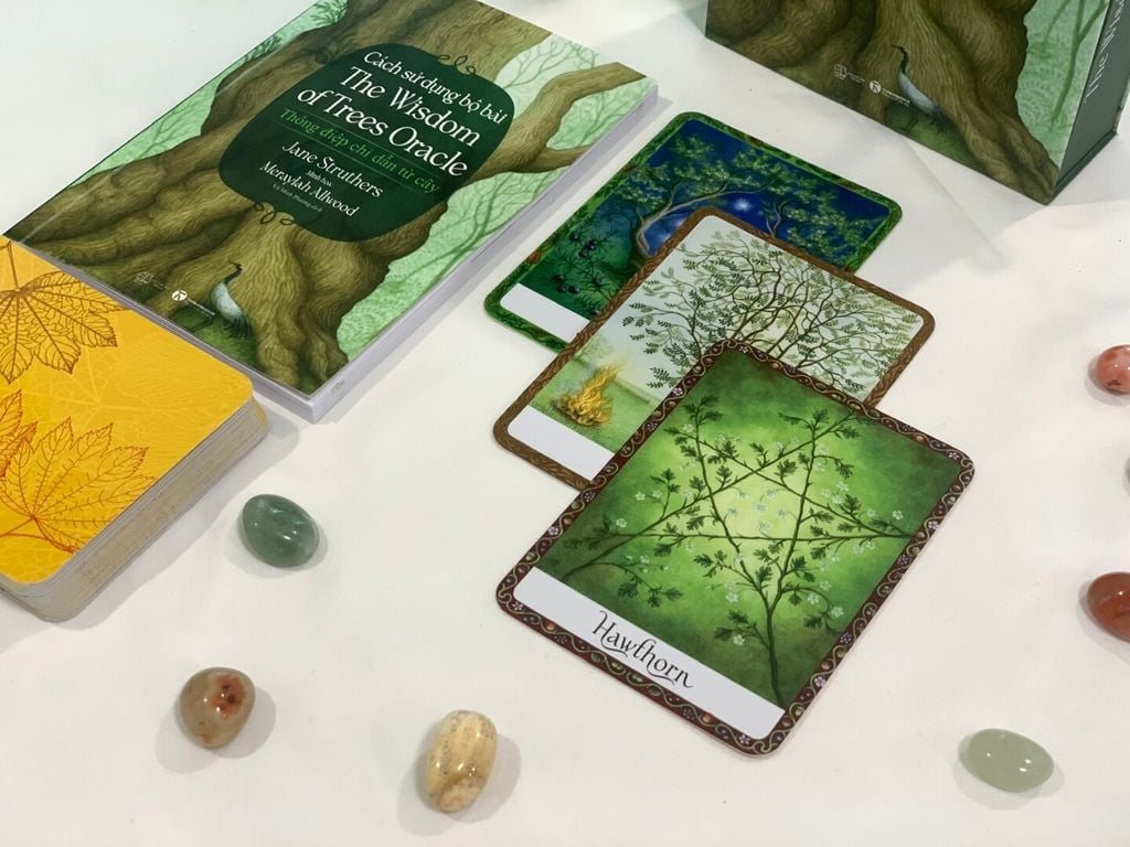 Bộ thẻ bài The Wisdom of Trees Oracle (Sách hướng dẫn và thẻ bài)