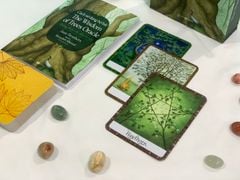 Bộ thẻ bài The Wisdom of Trees Oracle (Sách hướng dẫn và thẻ bài)