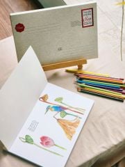 Trong đầm gì đẹp bằng sen (Sách tô màu)