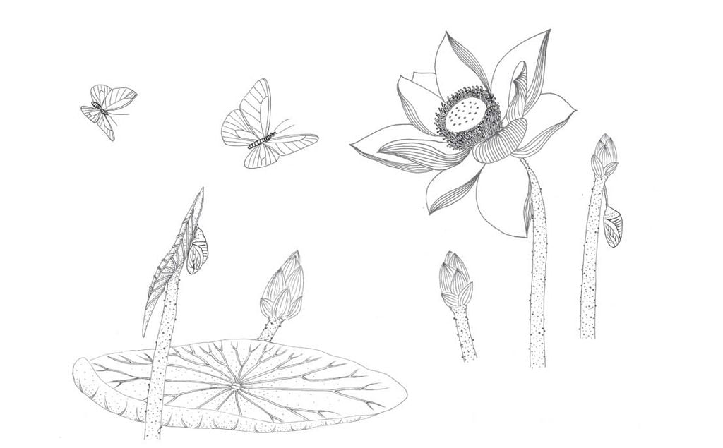 Trong đầm gì đẹp bằng sen (Sách tô màu)