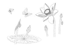 Trong đầm gì đẹp bằng sen (Sách tô màu)