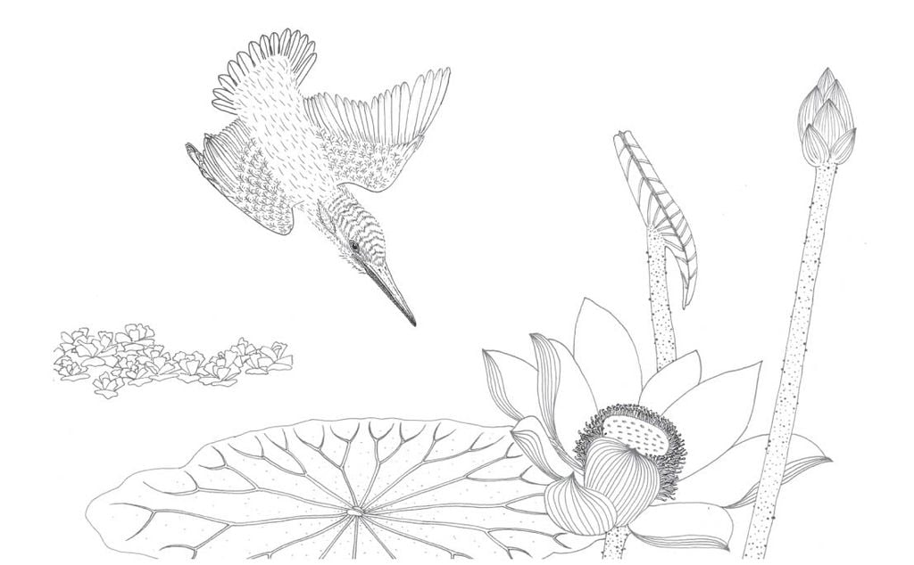 Trong đầm gì đẹp bằng sen (Sách tô màu)