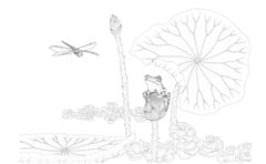 Trong đầm gì đẹp bằng sen (Sách tô màu)