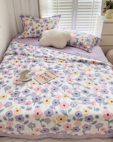 Bộ Drap & Chăn Chần 100% Cotton 160X200 (4 Món) - 16F4CTO