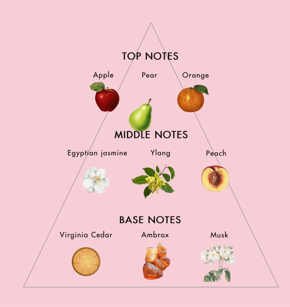 Nước Hoa Nữ LOVE AT FIRST SCENT EDT 100ml