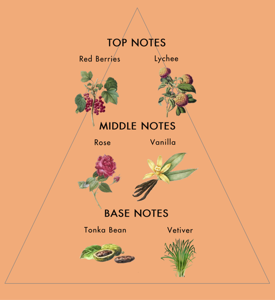 Nước Hoa Nữ KISS & SPELL EDT 100ml